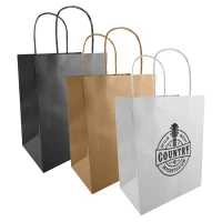 Medium Kraft Paper Bag PPB011